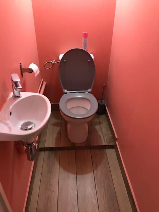 Maison Rez De Jardin Integral Entre Disney & Paris Chelles  Zewnętrze zdjęcie